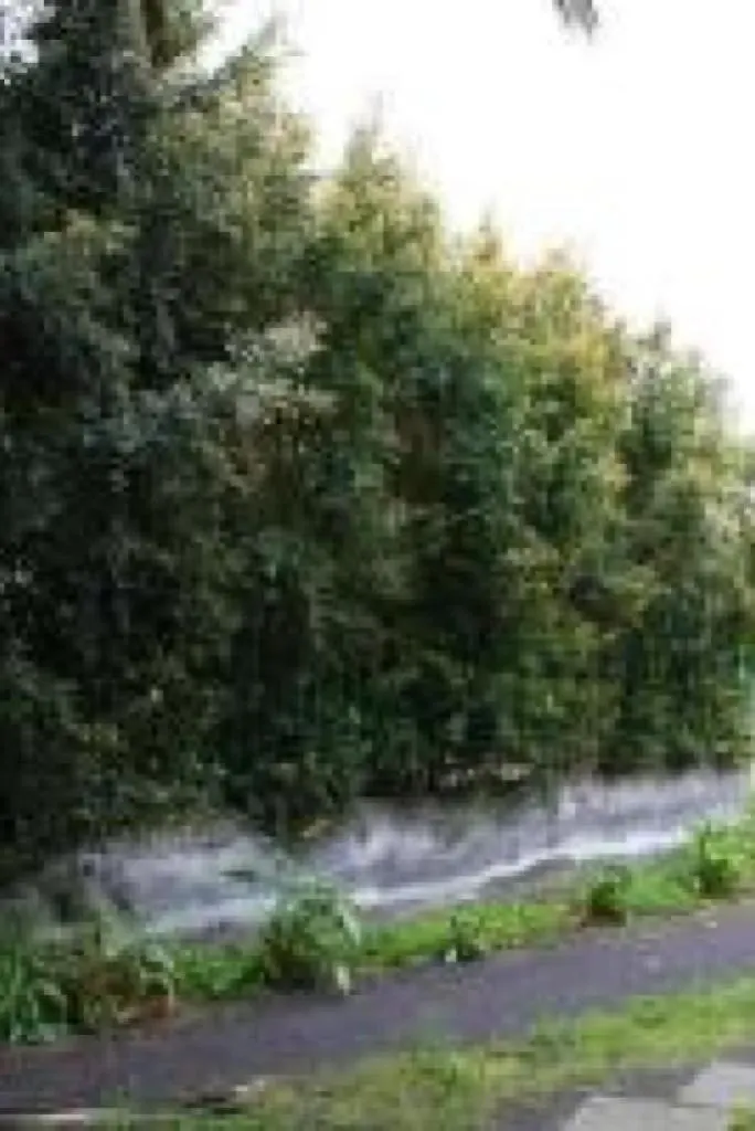 Villa Autostrada A 18 Giarre 0*,